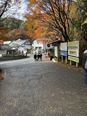 バスハイク（紅葉観光）♪