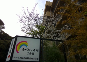 桜舞う季節となりました＊・☆